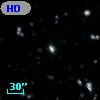 HD 336005