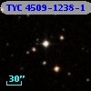 TYC 4509-1238-1