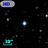 HD 336009