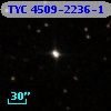 TYC 4509-2236-1