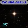 TYC 4509-3101-1