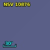 NSV 10876