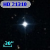 HD  21310