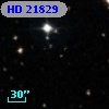 HD  21829