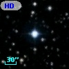 HD 336980