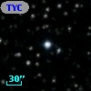 TYC 2117-1212-1