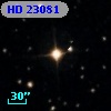 HD  23081