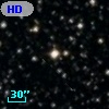 HD 338009