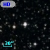 HD 338006