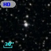 HD 338020