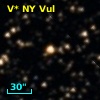 V* NY Vul