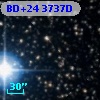 BD+24  3737D