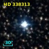 HD 338313