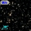 IRAS 19246+2431