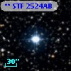 ** STF  2524AB