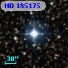 HD 185175