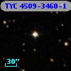 TYC 4509-3460-1