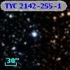 TYC 2142-255-1