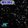 RFS  981
