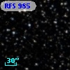 RFS  985