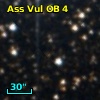 Ass Vul OB   4-