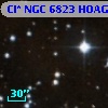 Cl* NGC 6823   HOAG      31