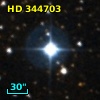 HD 344703