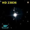 HD  23836