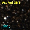 Ass Vul OB   1-