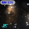 RRF  525