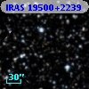 IRAS 19500+2239