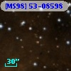 [MS98] 53-08598