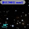 [BSS2003] mm5