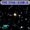 TYC 2141-1110-1