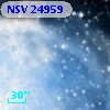 NSV 24959