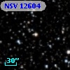 NSV 12604