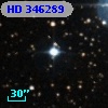 HD 346289