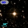HD 346505