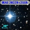 IRAS 20229+2119