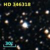 HD 346318