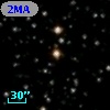 IRAS 20317+2224