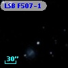 LSB F507-1