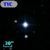 TYC 2026-351-1