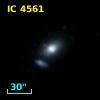 IC 4561