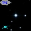 TYC 2026-1349-1