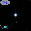 TYC 2033-1163-1