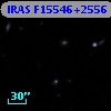IRAS F15546+2556