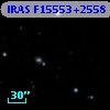 IRAS F15553+2558