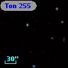 Ton  255