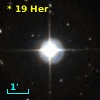 *  19 Her
